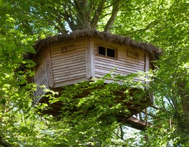 Cabane dans les Arbres à Savigny près de Saint-Lô