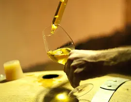 Dégustation de Vins au Domaine La Grande Maison à Monbazillac Dégustation de Vins au Domaine La Grande Maison à Monbazillac
