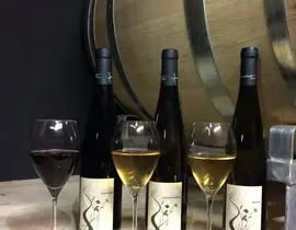 Cours d'Œnologie au Domaine Humbrecht près de Colmar