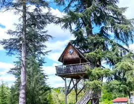 Nuit en Cabane dans les Arbres au Cœur de l'Armagnac