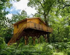 Cabane dans les Arbres à Léognan près de Bordeaux