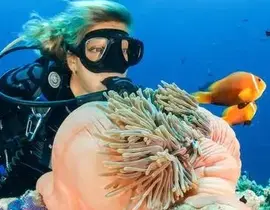 Initiation à la plongée à Arcachon Initiation à la plongée à Arcachon