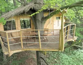 Cabane dans les Arbres à Saint-Germain-des-Essourts
