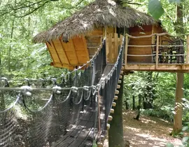 Cabane Familiale dans les arbres à Saint-Germain-des-Essourts Cabane Familiale dans les arbres à Saint-Germain-des-Essourts