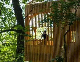 Cabane dans les Arbres avec Spa près de Lyon