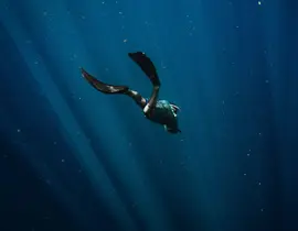 Brevet de Plongée Niveau 1 à Biscarrosse