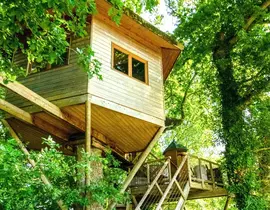 Cabane dans les Arbres avec Spa près de Dinan