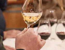 Cours d'Œnologie au Château Pas de L'Âne à Saint-Émilion