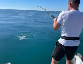 Pêche au Gros à Port-de-Bouc