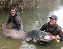 Pêche aux Carnassiers à Foix