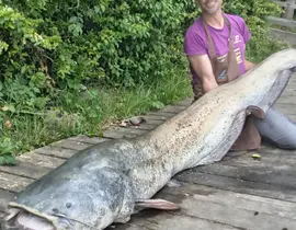 Pêche aux Carnassiers à Montauban Pêche aux Carnassiers à Montauban
