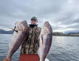 Pêche au Gros à Calvi Pêche au Gros à Calvi