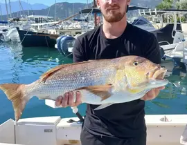 Pêche Sportive à Calvi