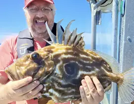 Pêche Sportive à Audierne Pêche Sportive à Audierne