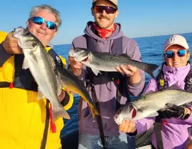 Pêche Sportive à Loctudy