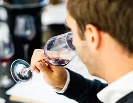 Cours d'Œnologie à Besançon