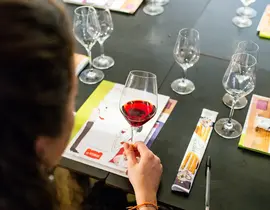 Journée Initiation à l'Œnologie à Biarritz
