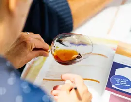Cours d'Œnologie à Pau