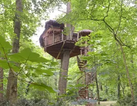 Cabane dans les Arbres aux Garennes-sur-Loire