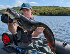 Pêche aux Carnassiers à Pontivy