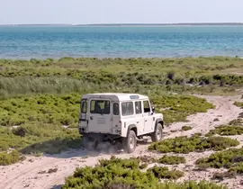 Randonnée Safari en 4x4 à Arles en Camargue Randonnée Safari en 4x4 à Arles en Camargue