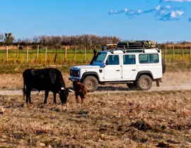 Randonnée Safari en 4x4 à Fontvieille dans les Alpilles Randonnée Safari en 4x4 à Fontvieille dans les Alpilles