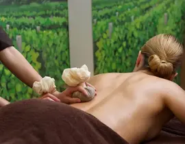Massage et Déjeuner à l'Hôtel Le Cep 5* à Beaune Massage et Déjeuner à l'Hôtel Le Cep 5* à Beaune