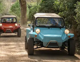 Randonnée en Buggy Vintage à Cannes