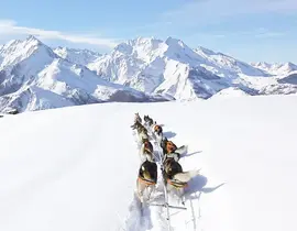 Randonnée en Chiens de Traîneau au Val d'Azun