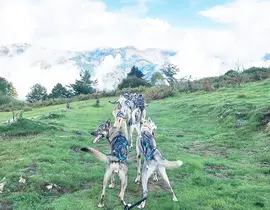 Randonnée en Cani-Kart au Val d'Azun Randonnée en Cani-Kart au Val d'Azun