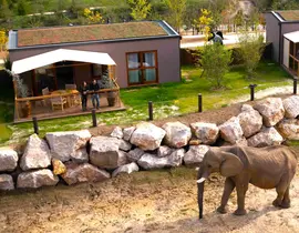 Dormir avec les Éléphants au Zoo de Thoiry
