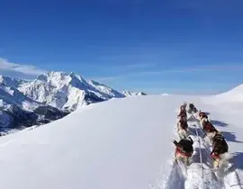 Randonnée en Chiens de Traîneau à Hautacam