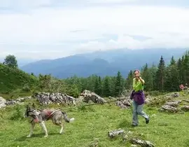 Randonnée en Cani-Rando au Val d'Azun Randonnée en Cani-Rando au Val d'Azun