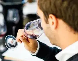 Initiation à l'Œnologie sur 2 jours à Rennes Initiation à l'Œnologie sur 2 jours à Rennes