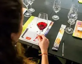 Cours d'Œnologie à La Rochelle Marsilly Cours d'Œnologie à La Rochelle Marsilly