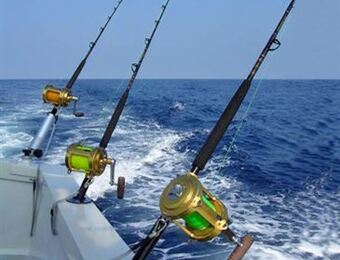 Pêche au Gros : Réservez votre sortie de pêche en mer