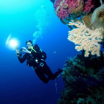 Corse du Sud (2A) PACA et Corse - Sport Aquatique Corse du Sud (2A) PACA et Corse - Sport Aquatique