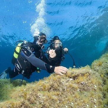 Baptême de plongée en région PACA et Corse Baptême de plongée en région PACA et Corse