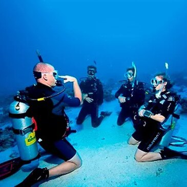 Bormes-les-Mimosas, Var (83) - Baptême de plongée Bormes-les-Mimosas, Var (83) - Baptême de plongée
