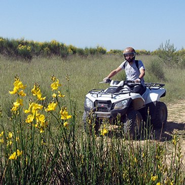 Réserver Quad & Buggy département Gard