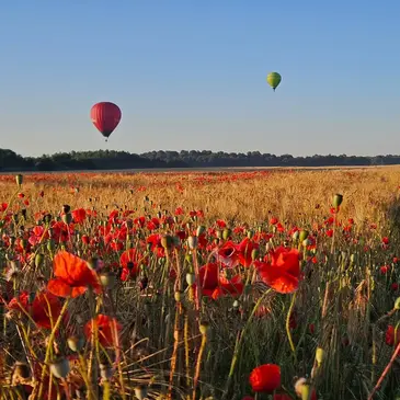 Baptême de l'air montgolfière en région Poitou-Charentes Baptême de l'air montgolfière en région Poitou-Charentes