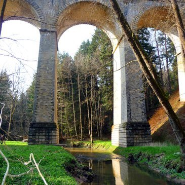 Saut à l'élastique en région Lorraine Saut à l'élastique en région Lorraine