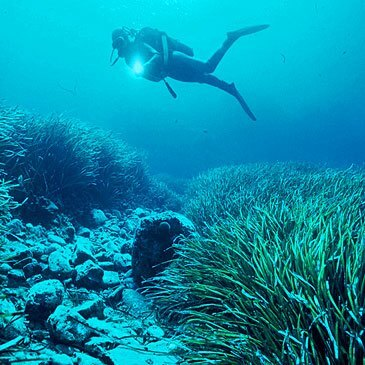 Baptême de plongée, département Isère Baptême de plongée, département Isère