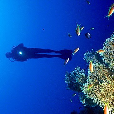 Villefontaine, à 20 min de Bourgoin-Jallieu, Isère (38) - Baptême de plongée Villefontaine, à 20 min de Bourgoin-Jallieu, Isère (38) - Baptême de plongée
