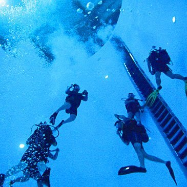 Baptême de plongée en région Rhône-Alpes Baptême de plongée en région Rhône-Alpes