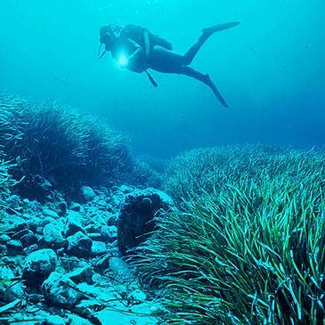 Baptême de plongée et initiation à Villefontaine Baptême de plongée et initiation à Villefontaine