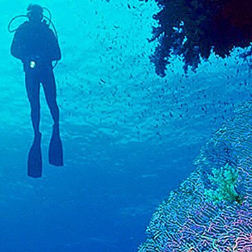 Baptême de plongée, département Isère Baptême de plongée, département Isère