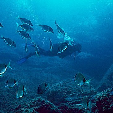 Isère (38) Rhône-Alpes - Sport Aquatique Isère (38) Rhône-Alpes - Sport Aquatique