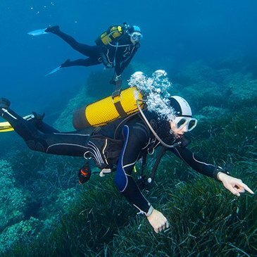 Sport Aquatique en région PACA et Corse