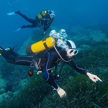 Saint-Raphaël, Var (83) - Brevet de Plongée Sous Marine Saint-Raphaël, Var (83) - Brevet de Plongée Sous Marine